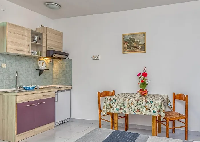 Bastovanovic 8 Rovinj